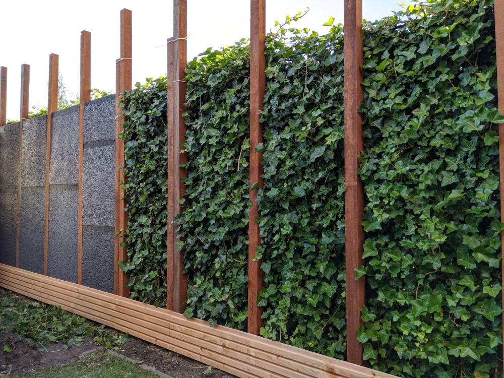 Galm in een tuin of binnenplaats verminderen